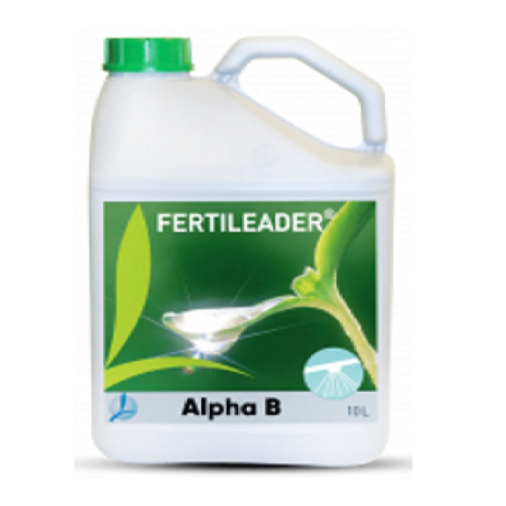 ALPHA B