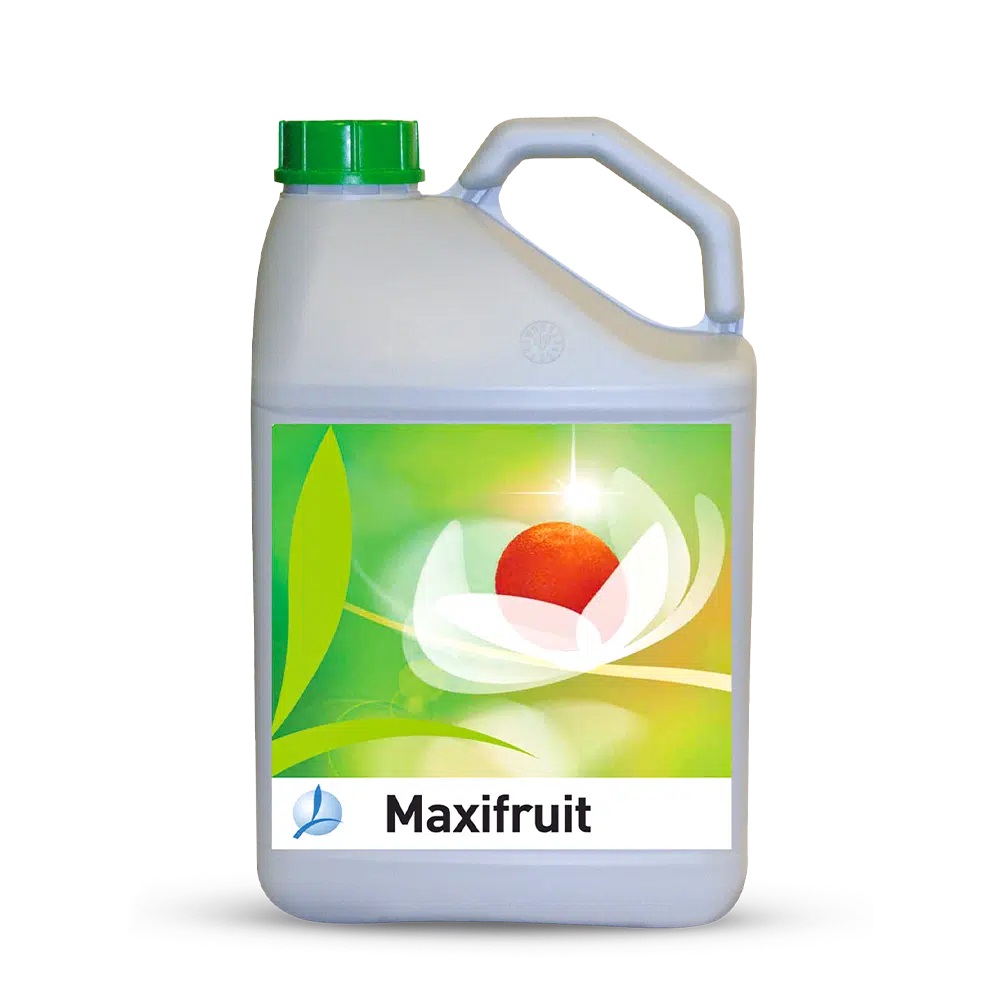 MAXIFRUIT