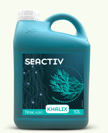 SEACTIV KHALIX
